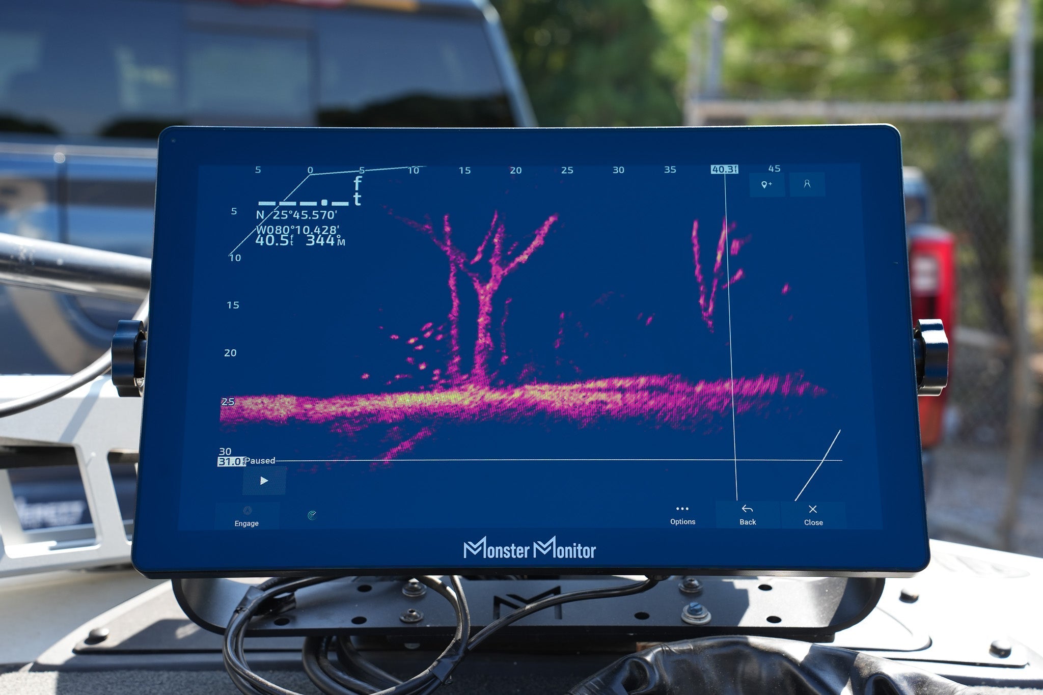 MONSTER MONITOR - FOCUS 19