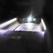 SeeLite Double Trouble Lighting