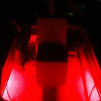 SeeLite Double Trouble Lighting