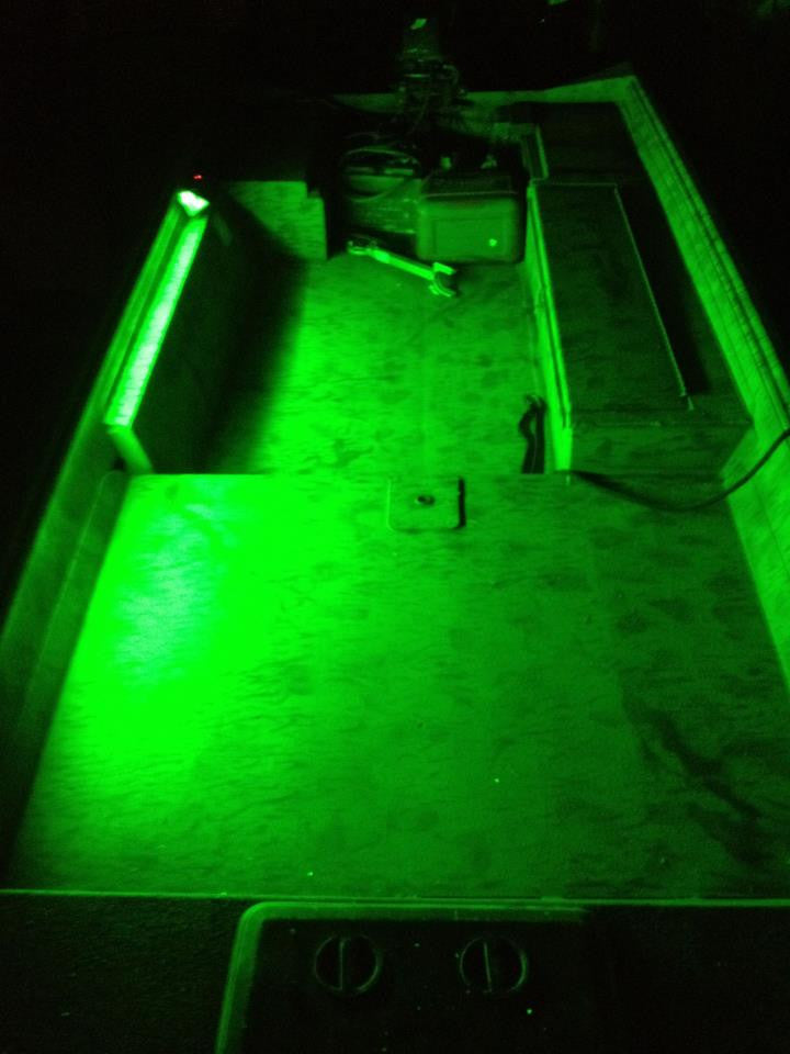 SeeLite Double Trouble Lighting