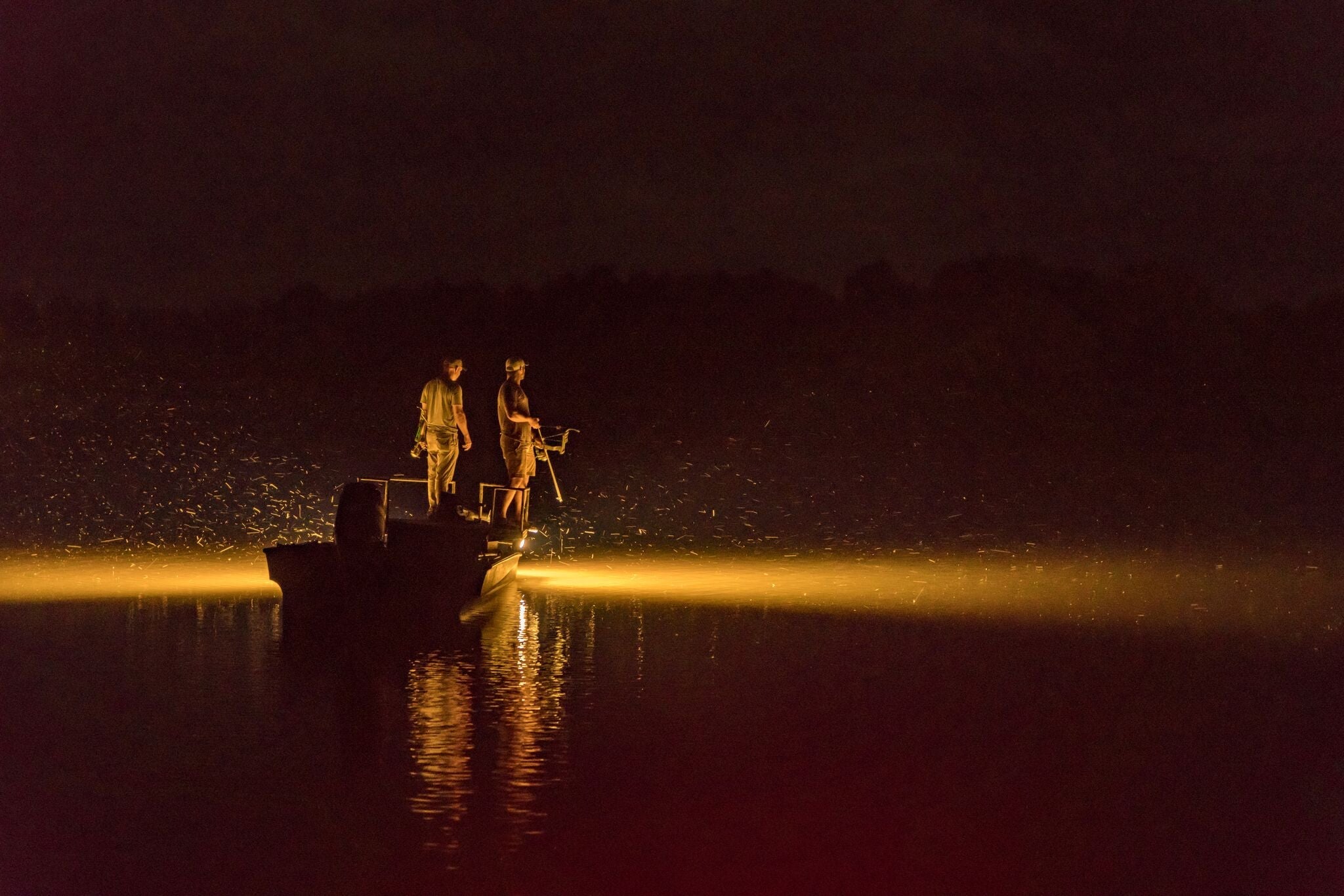 20" TRUEWarm LED Light Bar